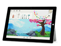毕节Surface 无法开启、Windows 无法启动或电池无法充电